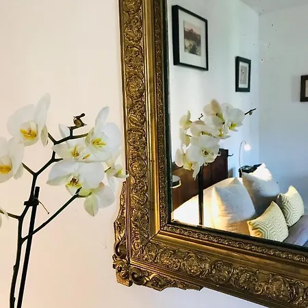 홈스테이 D'hotes Maison Mondenard 네라끄